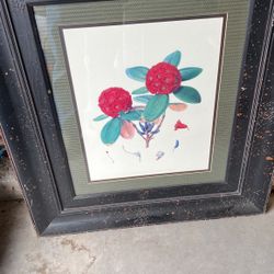 2 Pictures