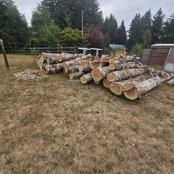 Oak Logs,make Offer