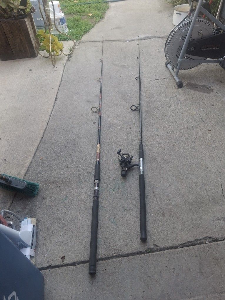 Two Rods One Real They Split In Half