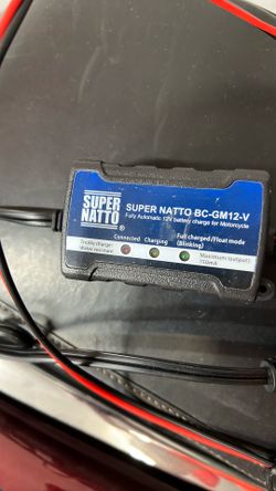 Maintenance charger