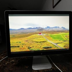 Apple 24 inch Cinema Display