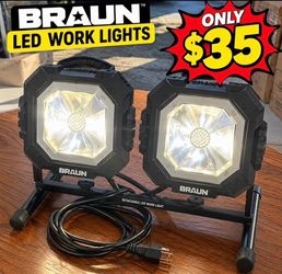 Braun Detachable LED Work Lights Set of 2