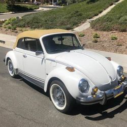73 Beetle Bug