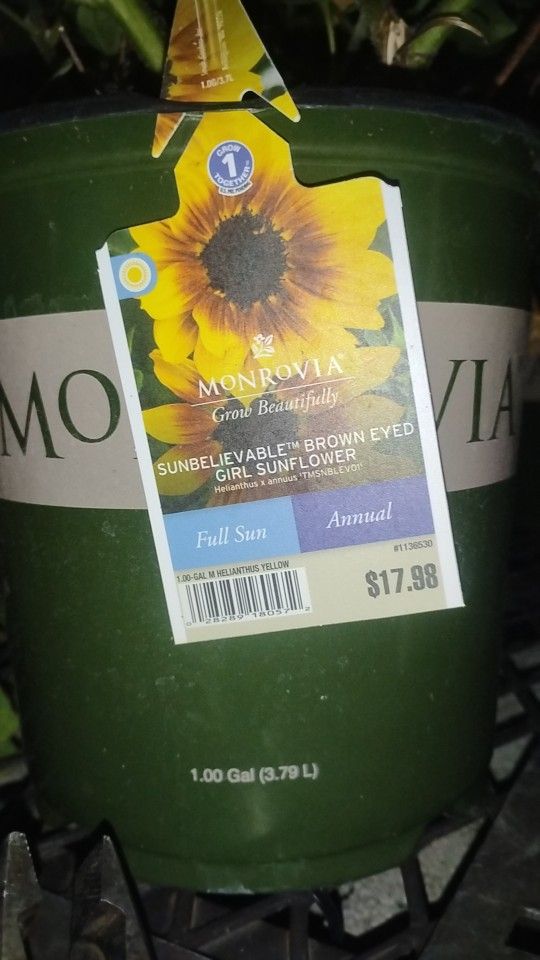 All The Best Quality Flower's For Cheap!