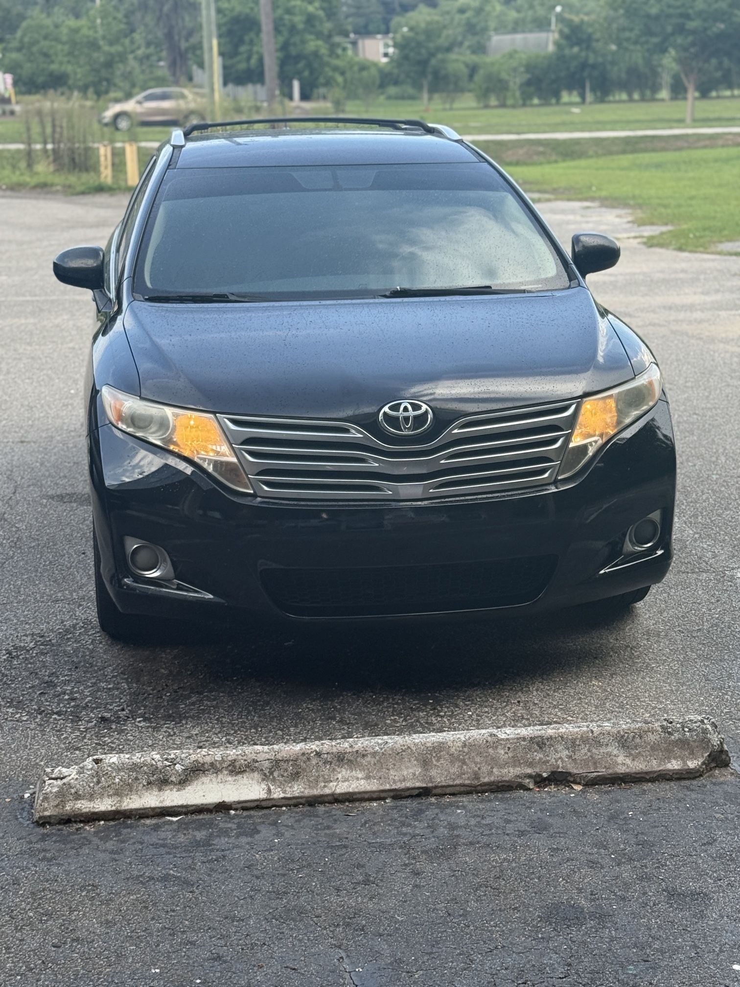 2009 Toyota Venza