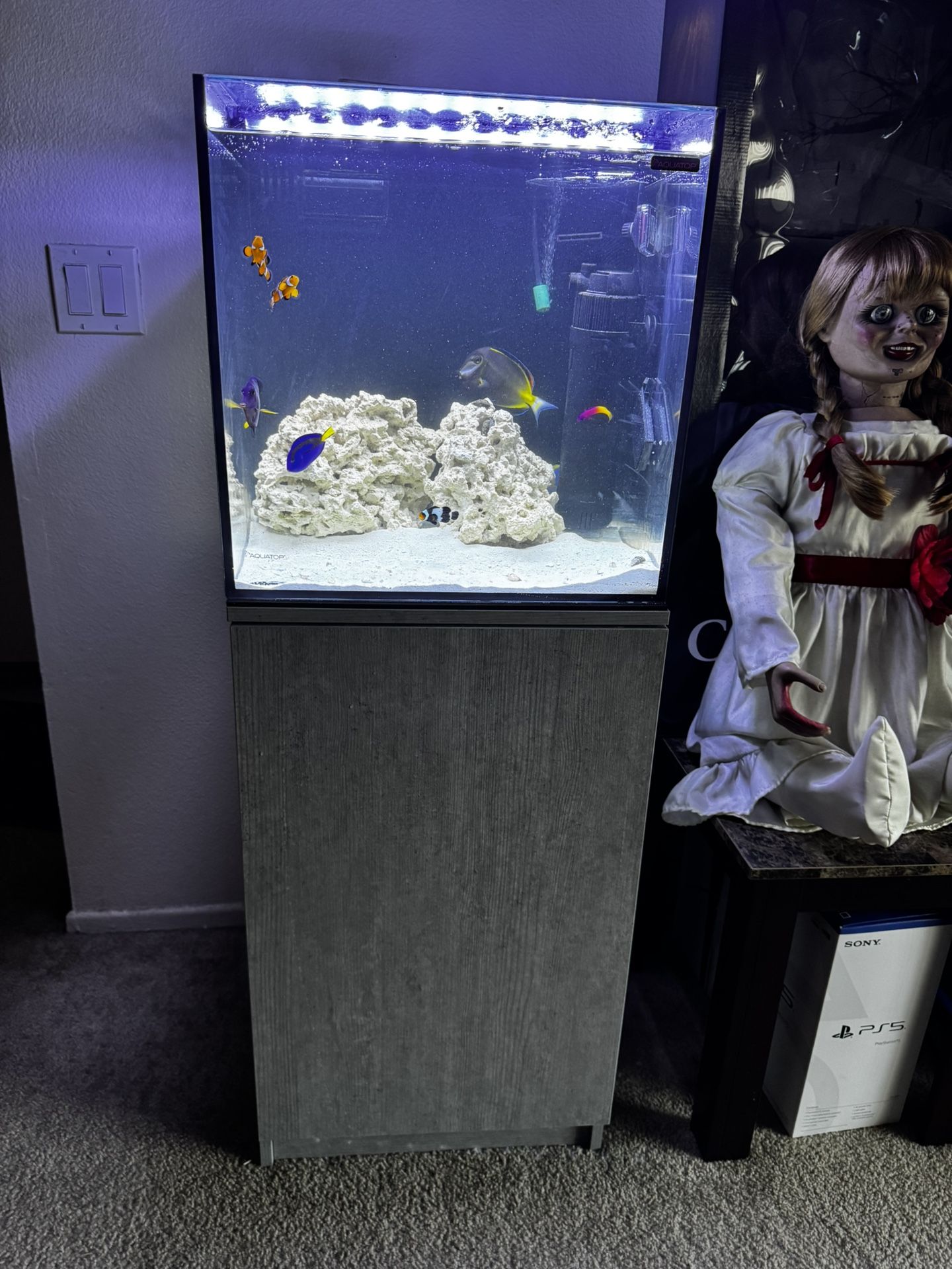New Saltwater Tank 25 Gallons