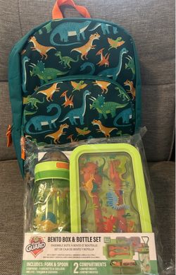 Dinosaur Set For School