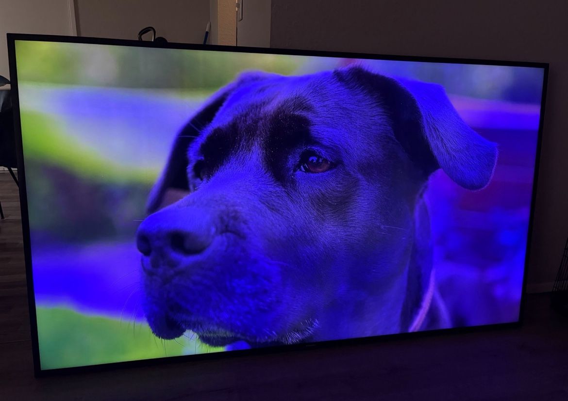 Samsung 65’ Inch 