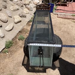 Fish Tank