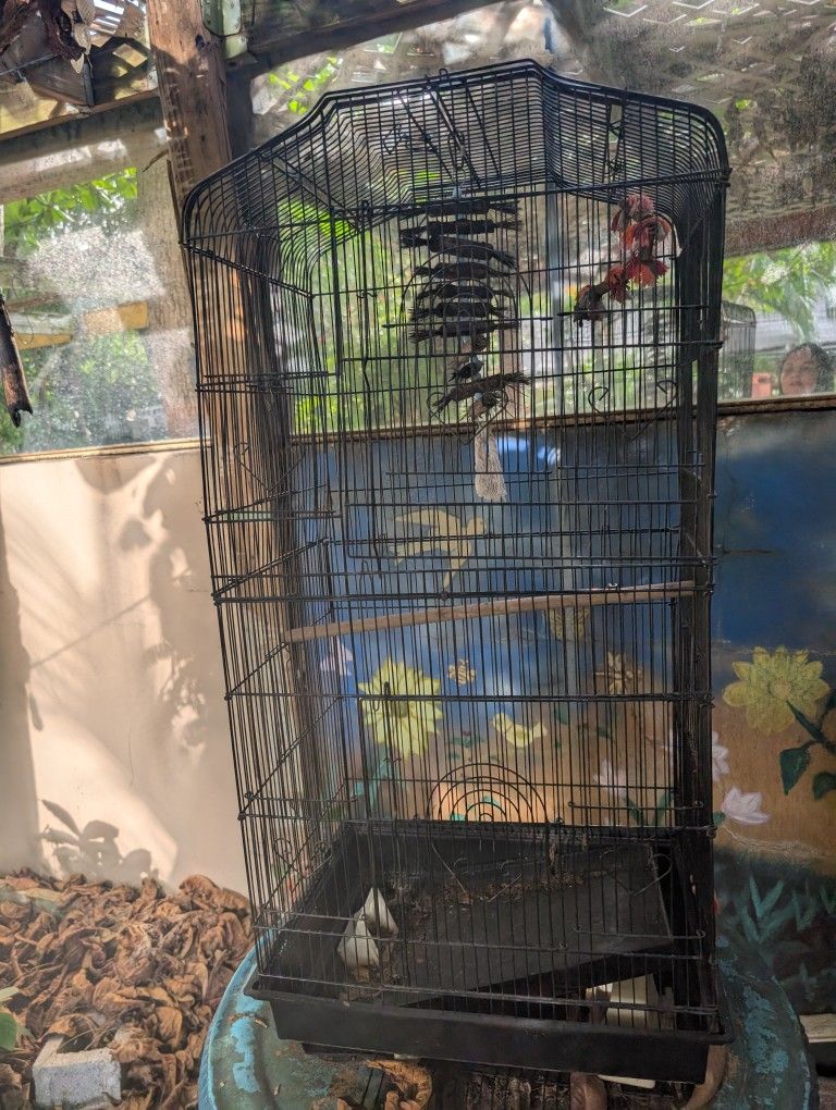 Bird Cage For Parakeets Or Cockatiels