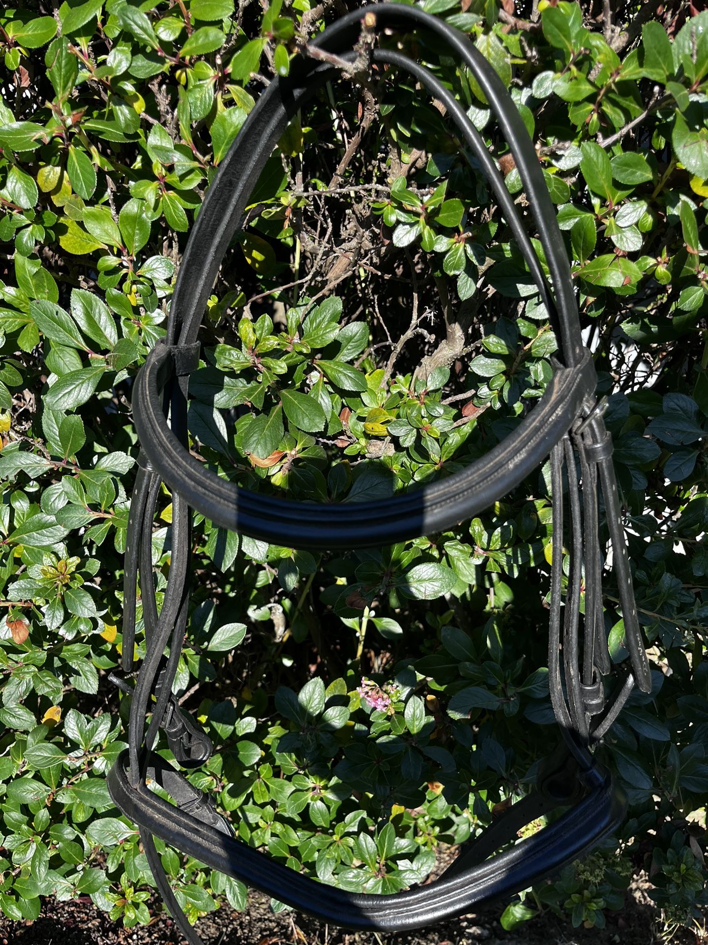 DeVinci Double Padded Black Headstall 