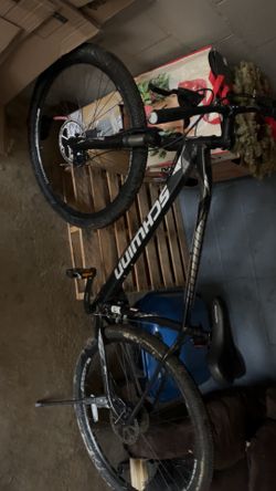 Nice Popular Bike