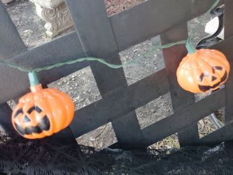 Halloween little pumpkin lights with 19 pieces $20