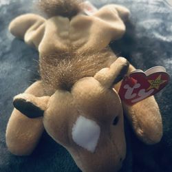 1995 TY beanie baby - Derby The Horse - Tag Error (Reitred)