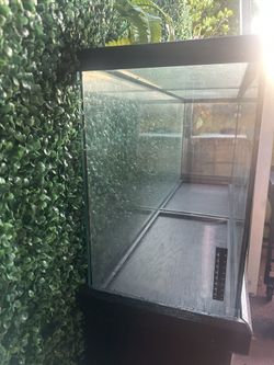 Aquarium, Fish Tank