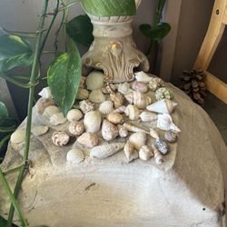 Heavy and beautiful Stone for garden