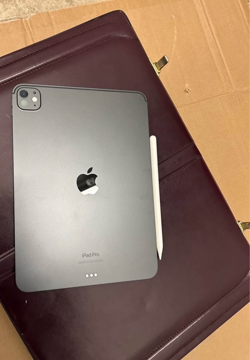iPad Pro 11” 256GB M4 Wi-Fi 