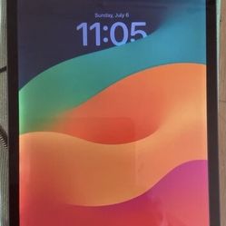 Apple iPad 9th Generation - 256 GB-  WiFi + CELLULAR Unlocked