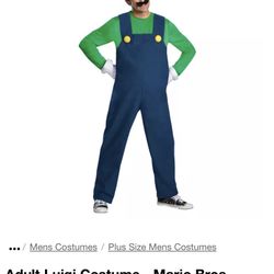 Adult Luigi Costume