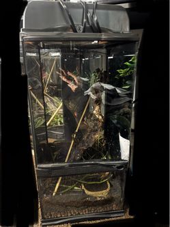 Zoo med terrarium / paludarium 12x12x24