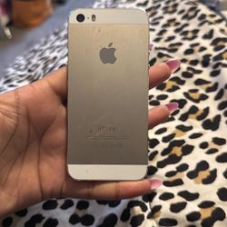 iPhone 5s
