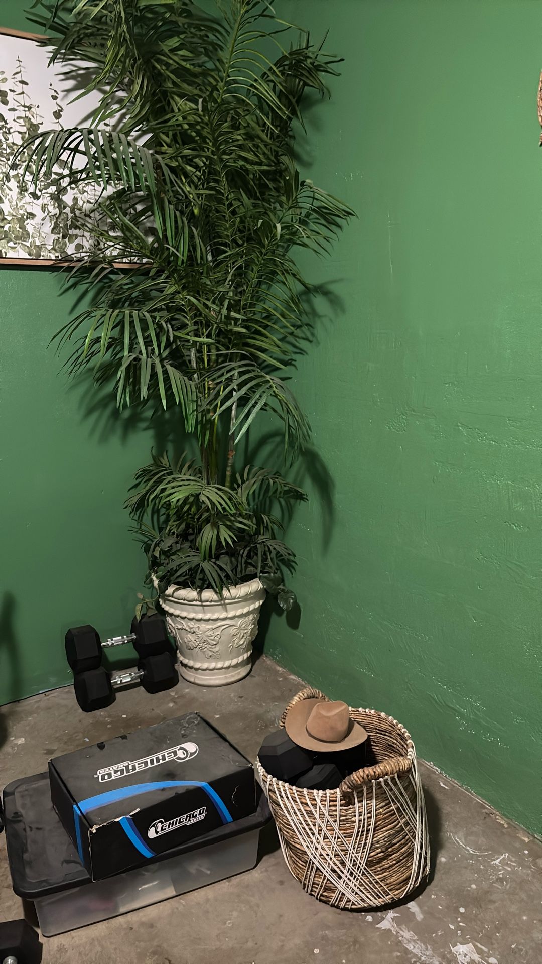 Plants
