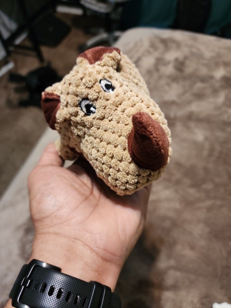 Small Rino For Small Dogs