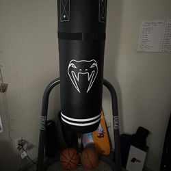 Boxing Bag And Gloves 