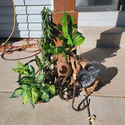 Reptile Enclosure (READ DESCRIPTION)