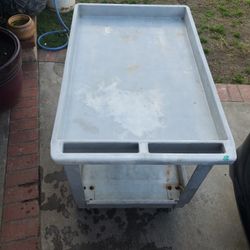 Big plastic cart