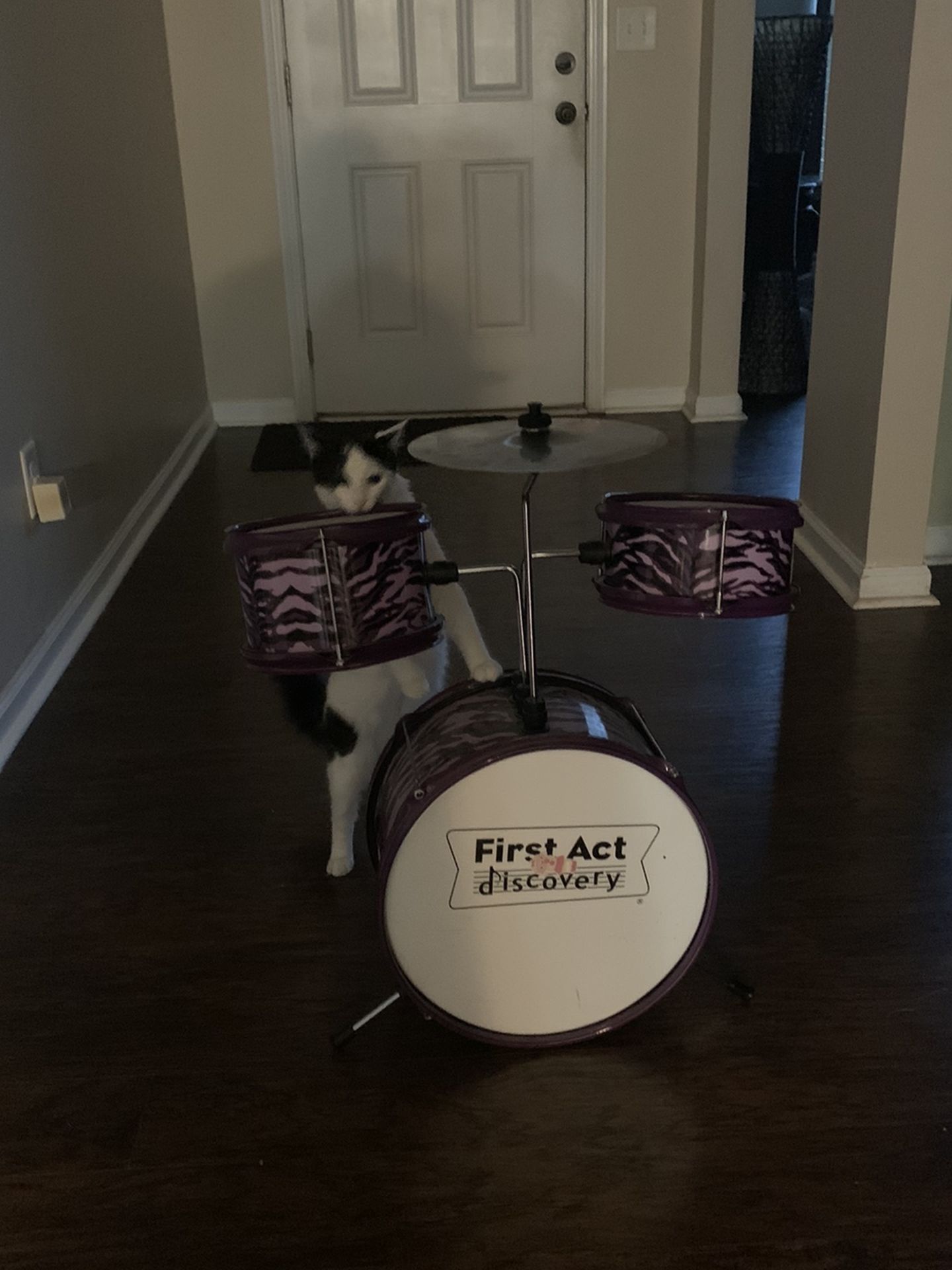 Kids Drum set