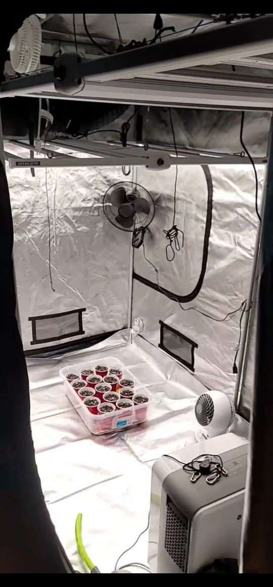 Grow Tent Full Setup