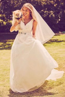 David’s Bridal Wedding Gown