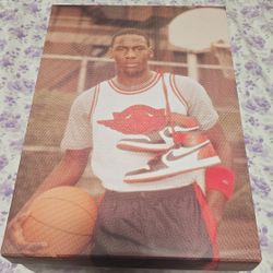 Jordan Retro 1 High OG Size 11