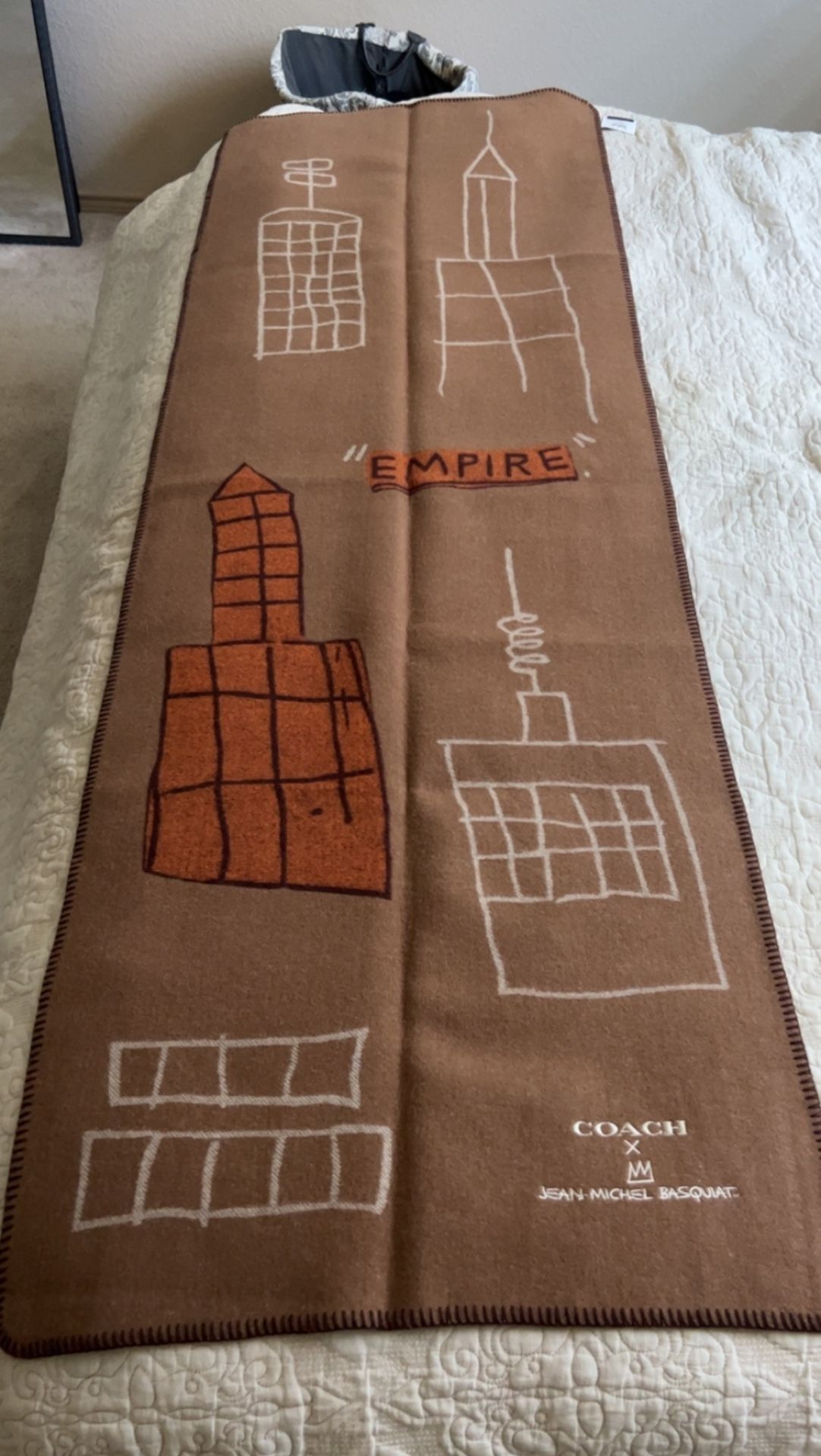 Coach basquiat scarf 2025