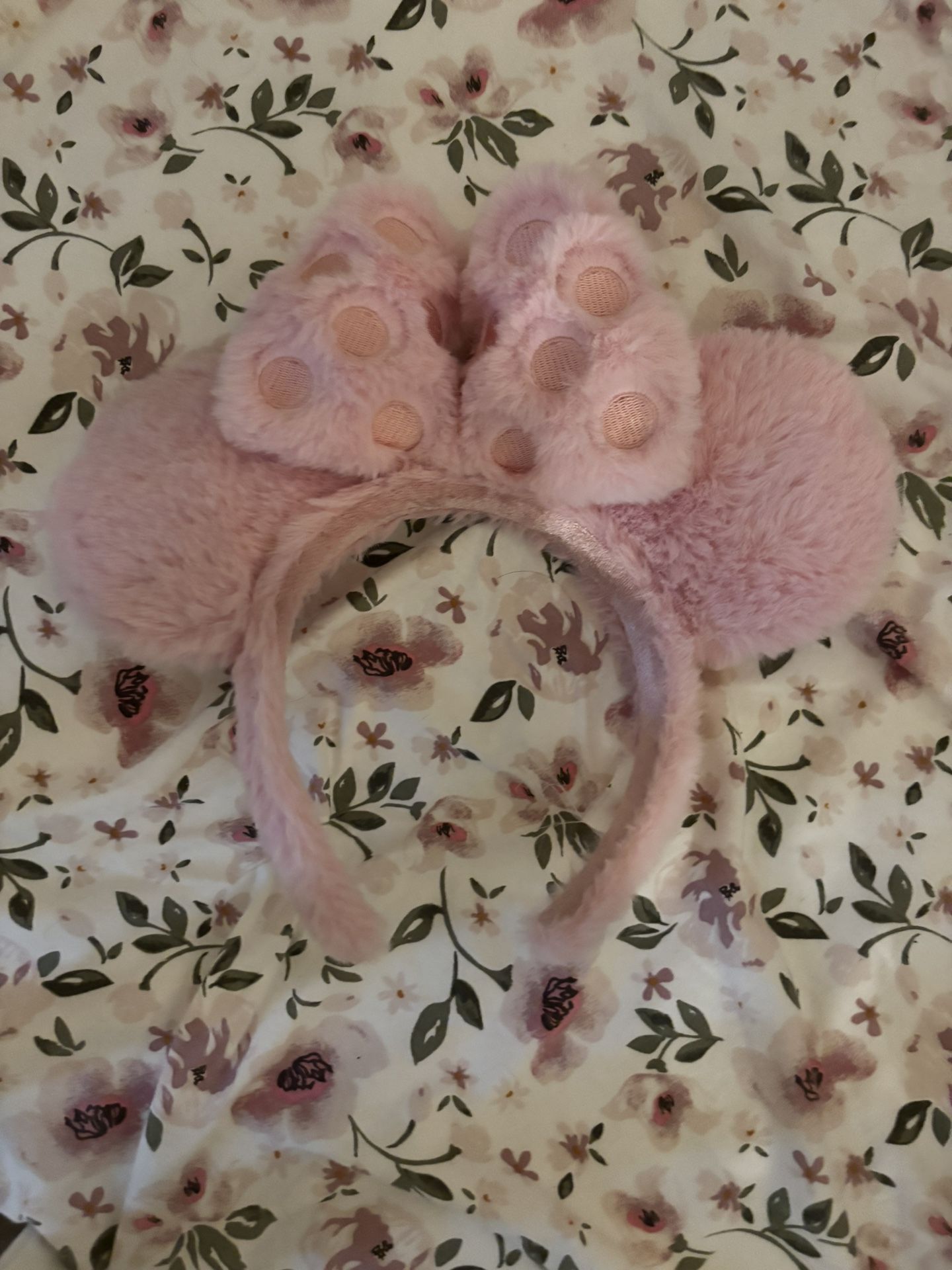 Disney Ears