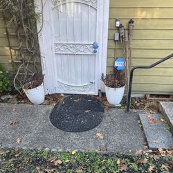 Perennials Planters Plants Just Bought A Month Ago Sold House 