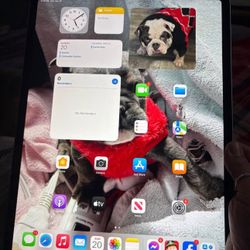 IPAD AIR Newest One Out 