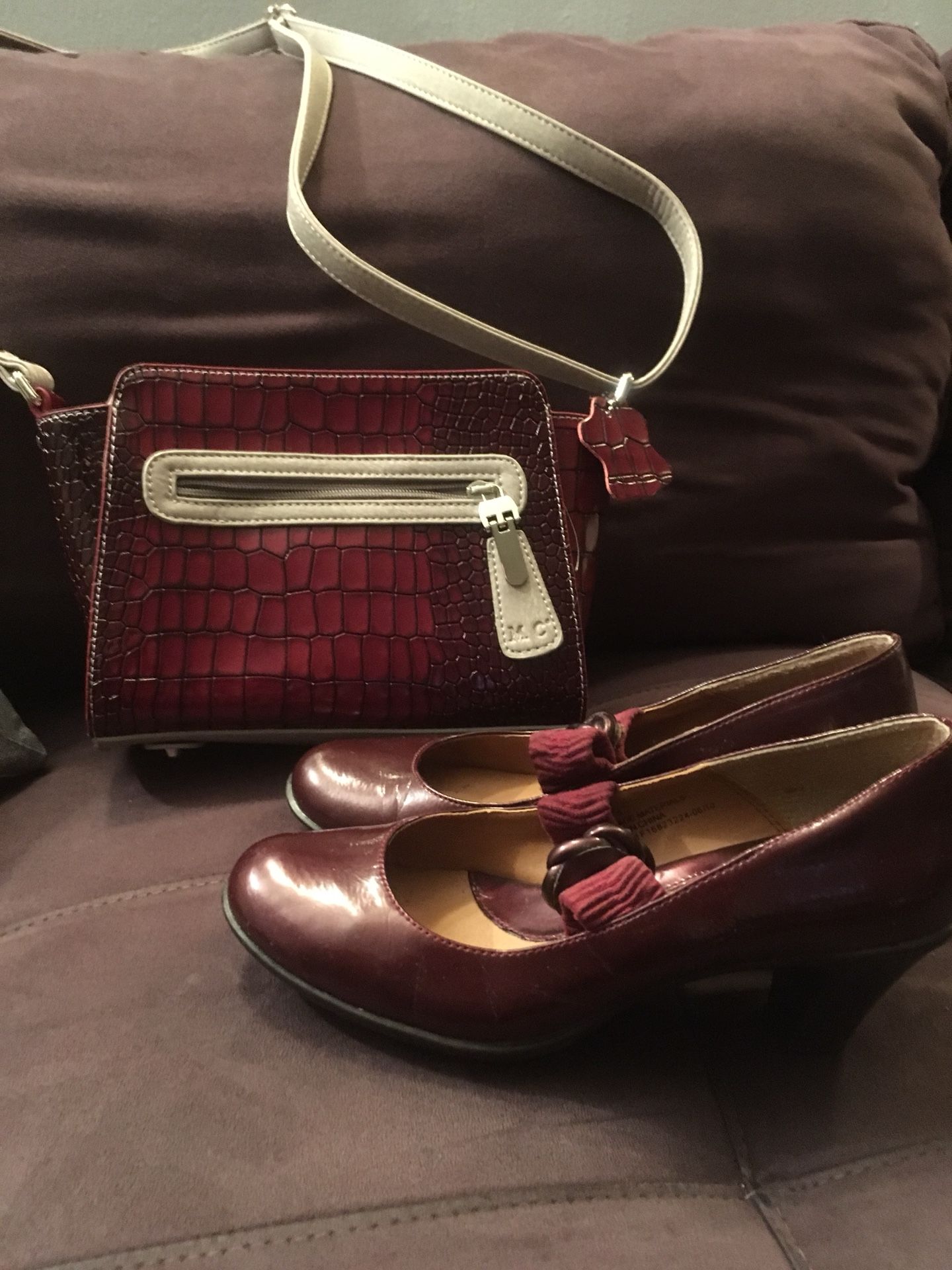 Burgundy bag and shoes FREE