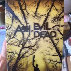 NECA Ash Vs Evil Dead Figure New