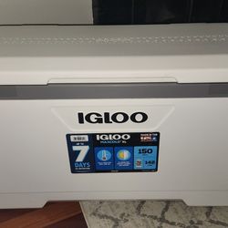 Igloo Cooler 150 qts