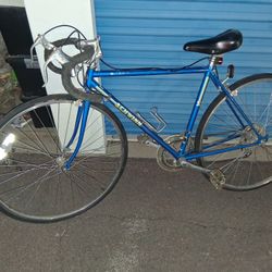 Schwinn Sprint Vintage Road Bike