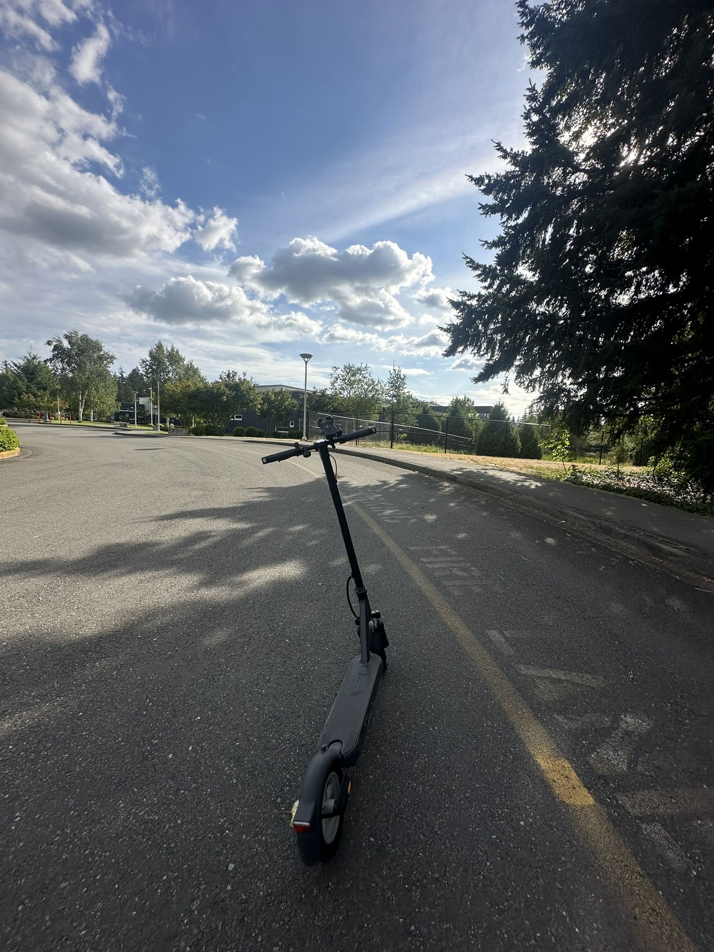 Electric Scooter