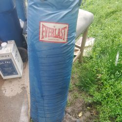 Everlast Punching Bag 