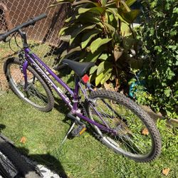 Ozark Cigna Mountain Bike