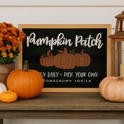 New PUMPKIN PATCH Farmhouse Framed FALL Wall Art Wood Sign PORCH DECOR 