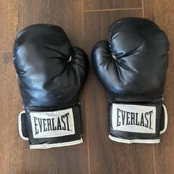 Everlast boxing gloves
