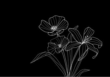 Flower/leaf outline mural