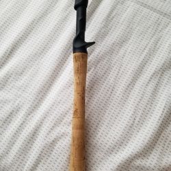 13fishing Omen Green Casting Rod 7ft 7inch for Sale in City Of Industry, CA  - OfferUp