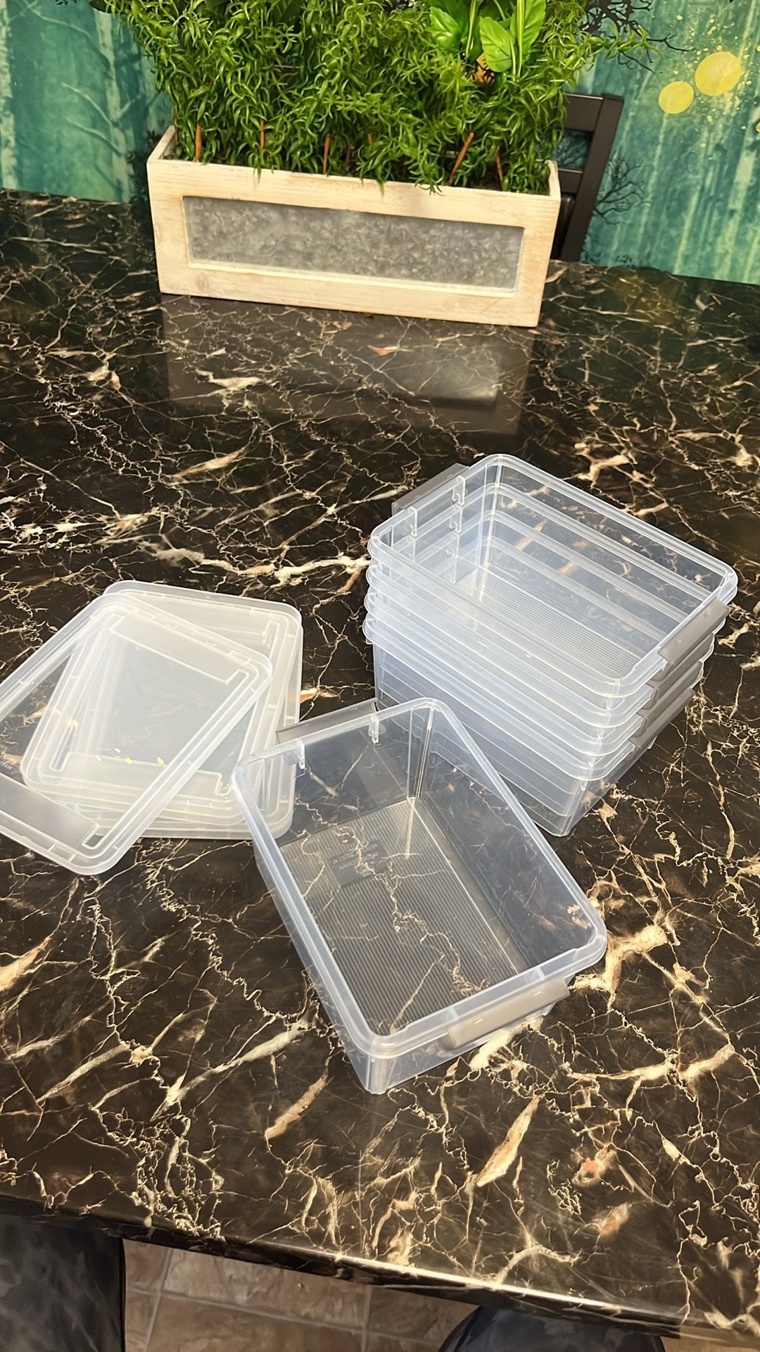 5 Plastic Storage Containers With Lids. Hand For Size Reference